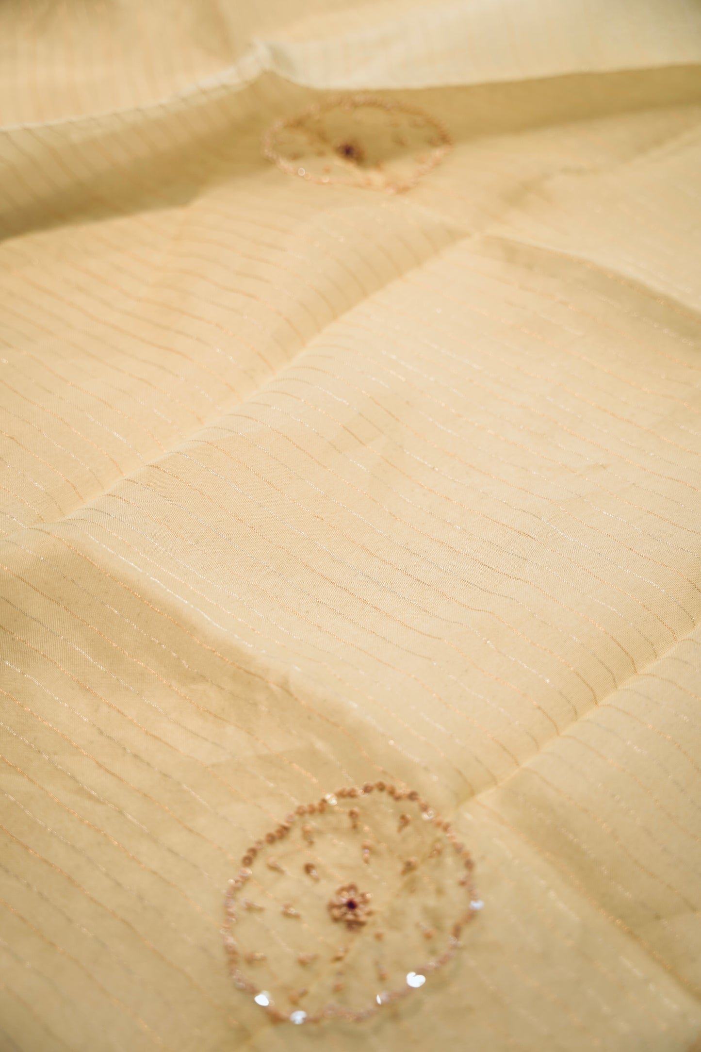 Cream Pure Organza Hand Painted Suit with Hand Work
