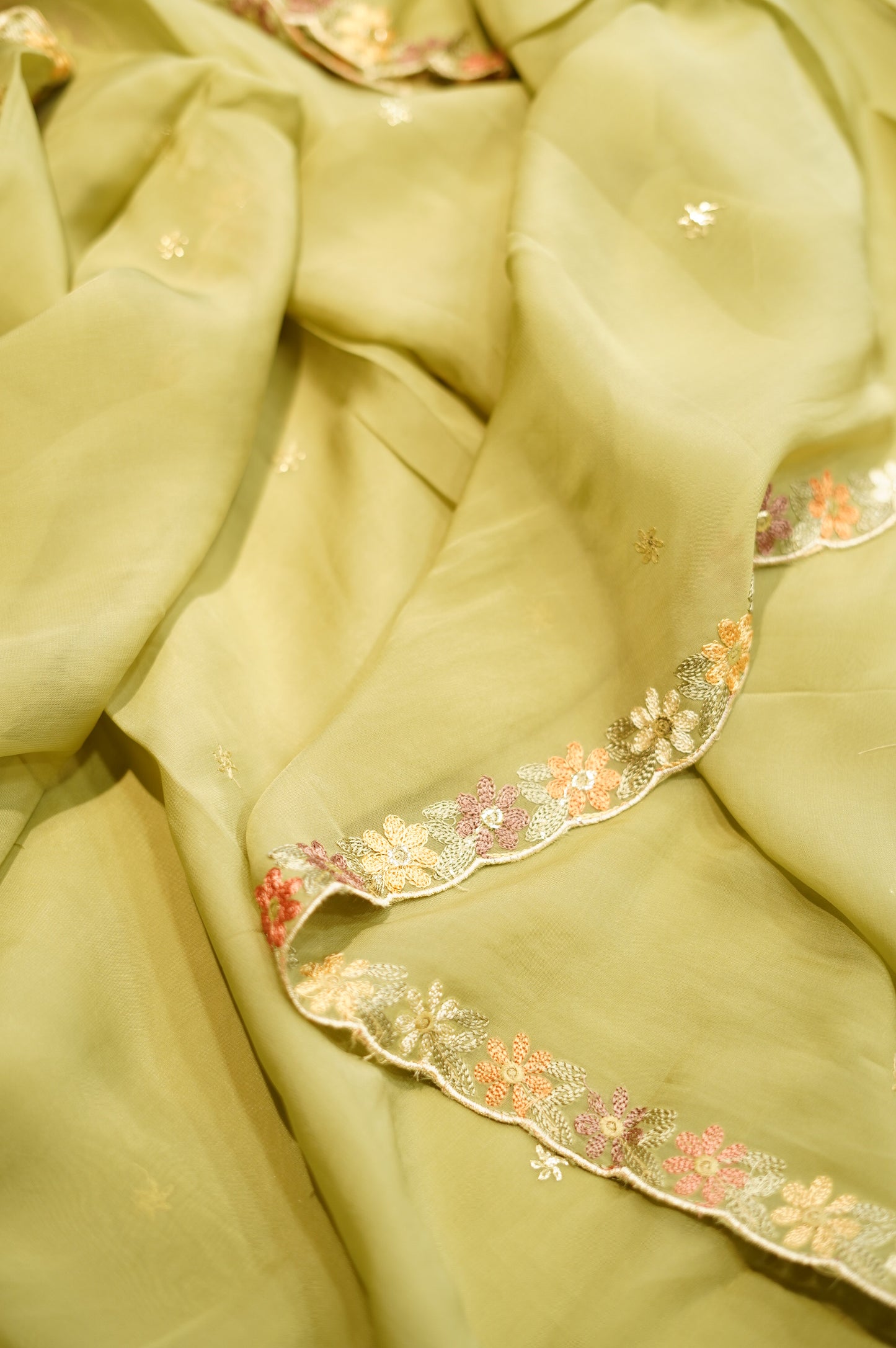 Green Organza Suit with Heavy Embroidery