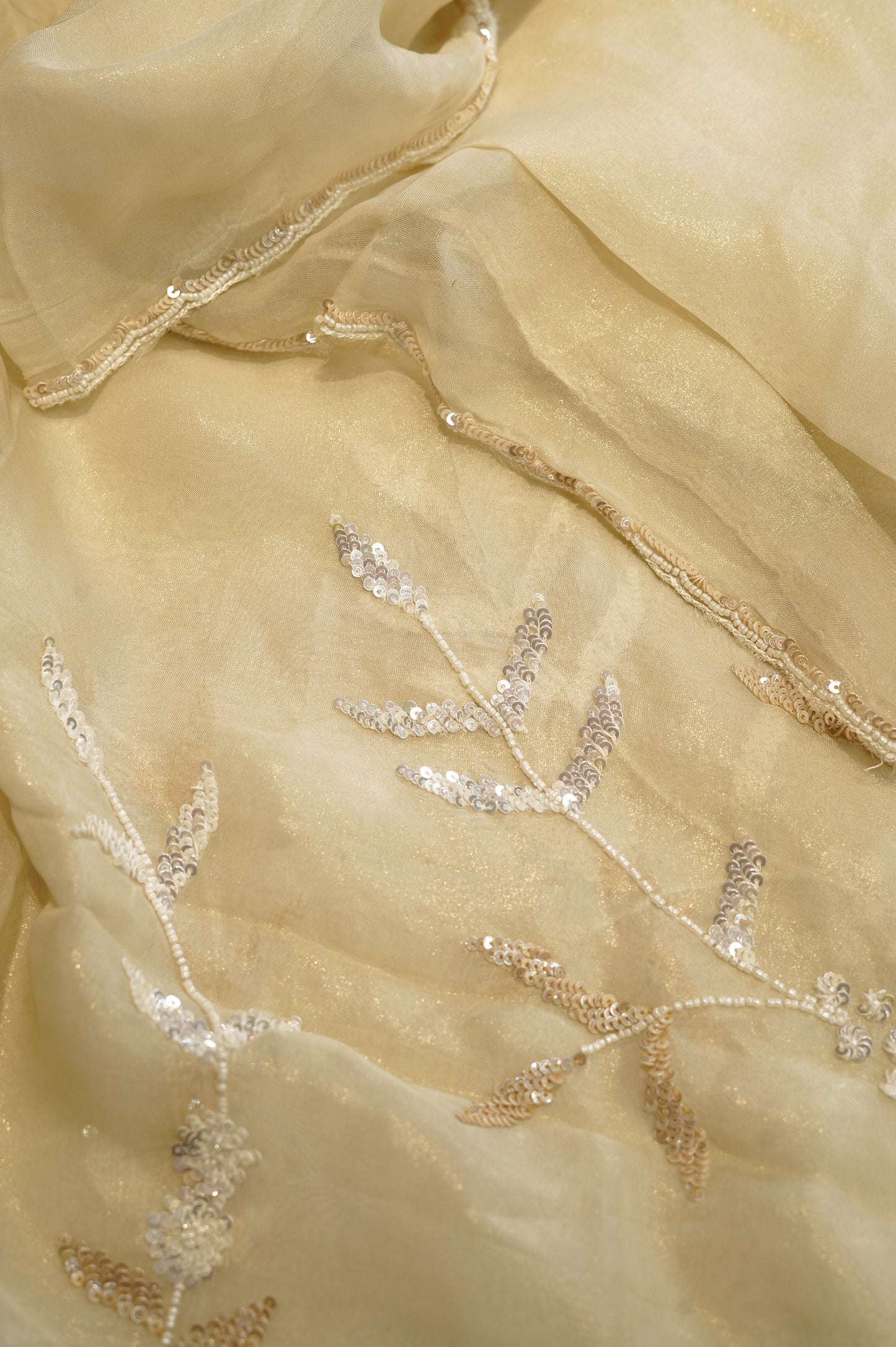 Cream Tissue Organza Suit with Handwork