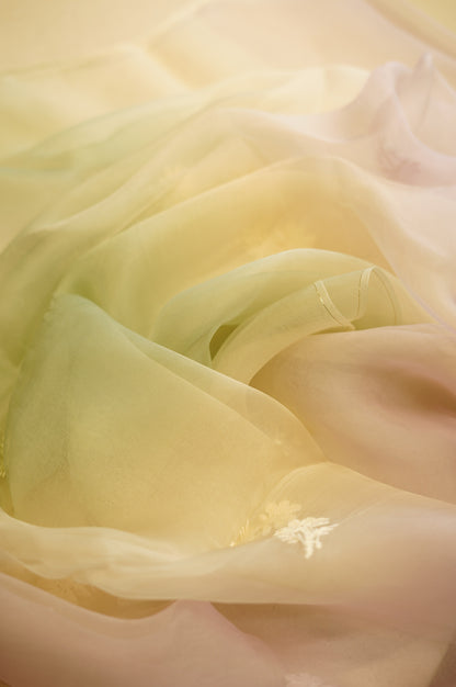 Green Pure Silk Organza Suit with Lakhnavi Work