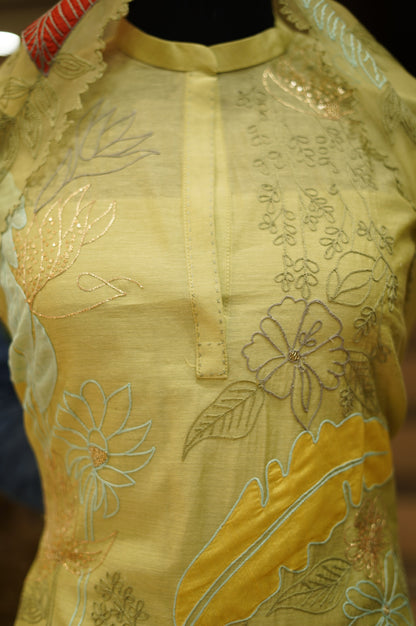 Green Embroidered Chanderi Suit with Applique Work