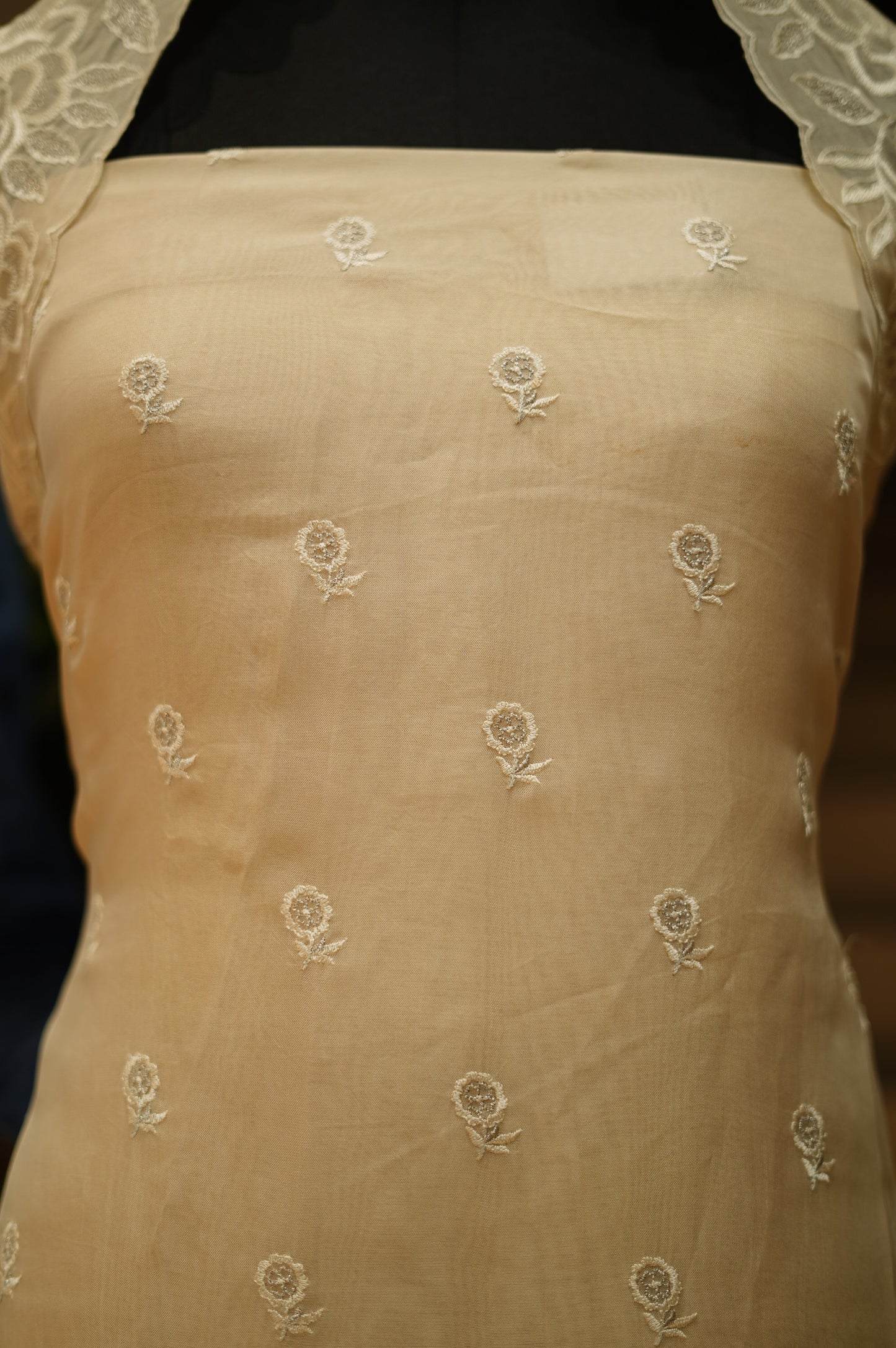 Cream Organza Suit with Embroidery