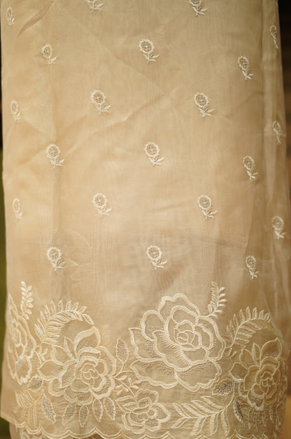 Cream Organza Suit with Embroidery