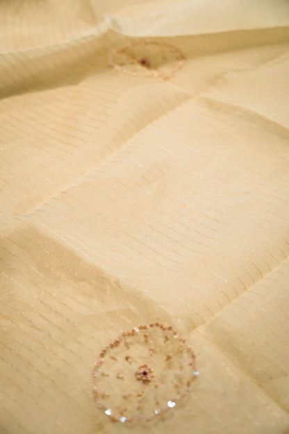 Cream Pure Organza Hand Painted Suit with Hand Work