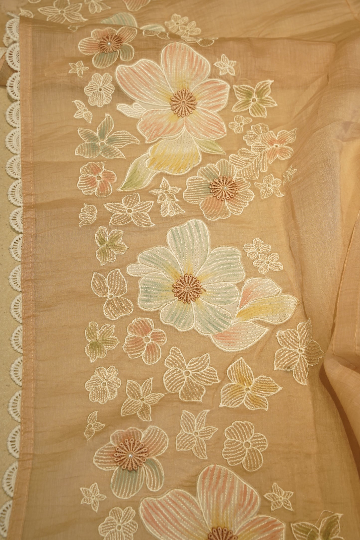 Hand Painted Applique Mul Chanderi Suit