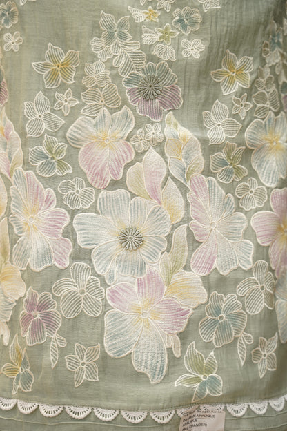 Hand Painted Applique Mul Chanderi Suit