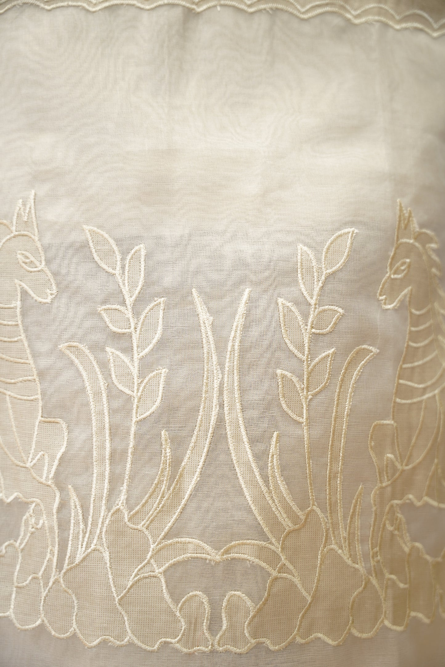 Off White Tissue Suit with Applique Work
