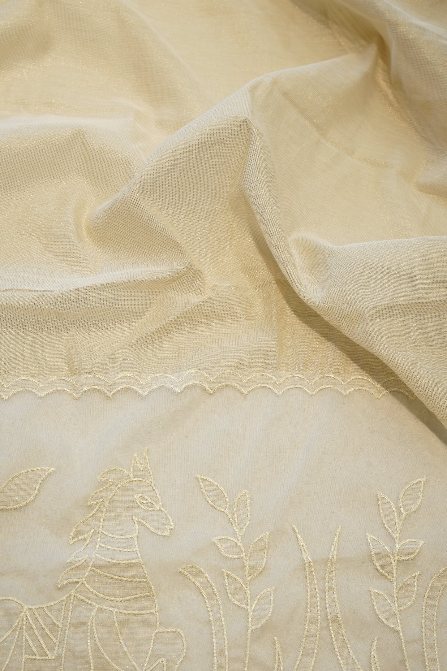 Off White Tissue Suit with Applique Work