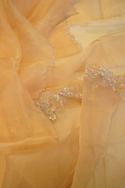 Peach Tissue Suit with Handwork