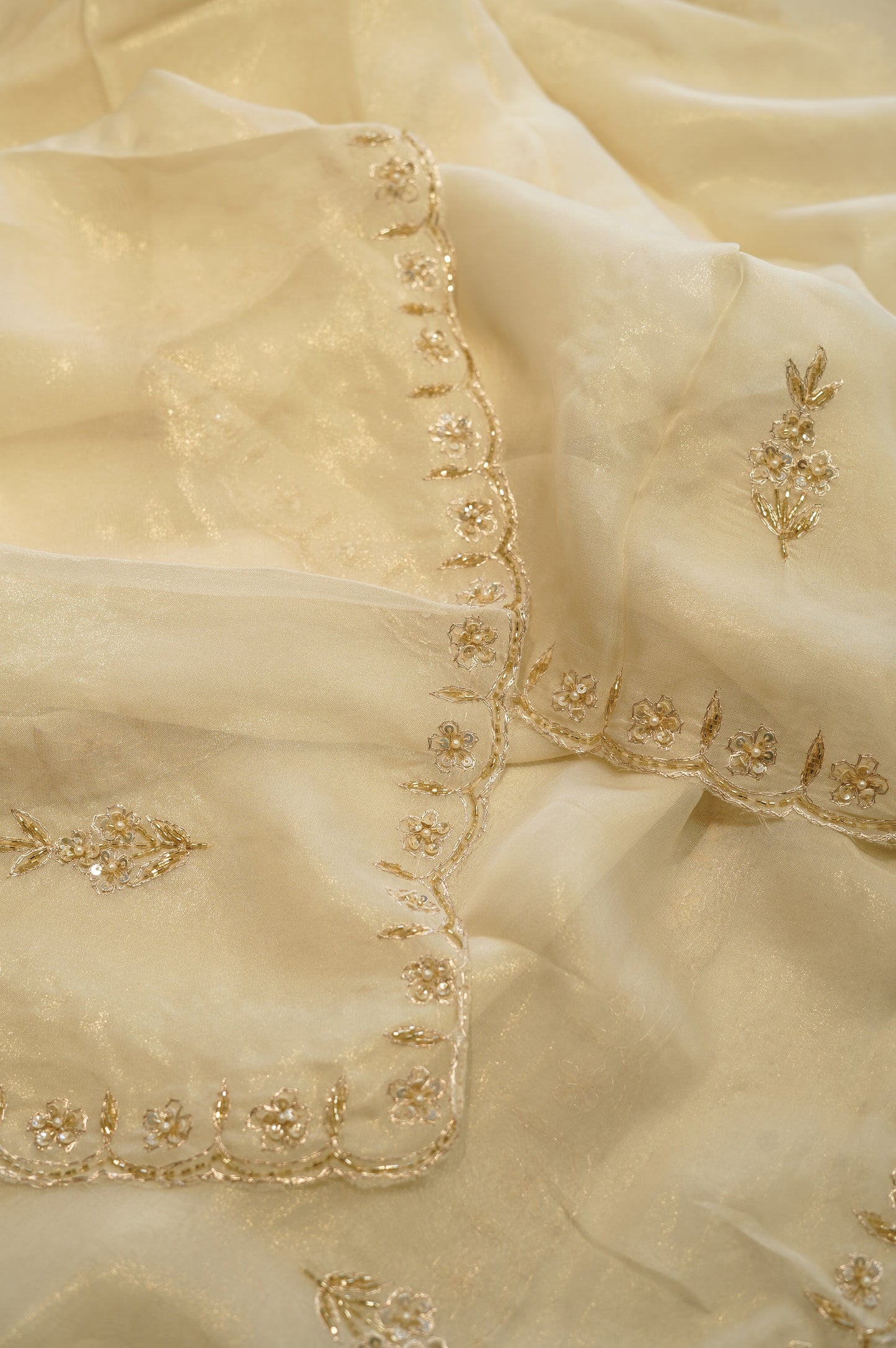 Cream Tissue Organza Suit with Handwork