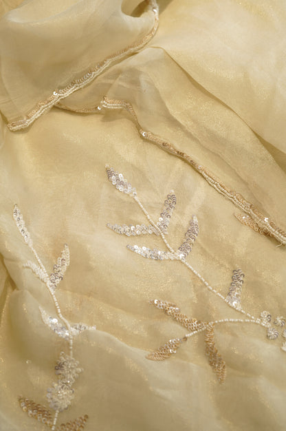 Cream Tissue Organza Suit with Handwork
