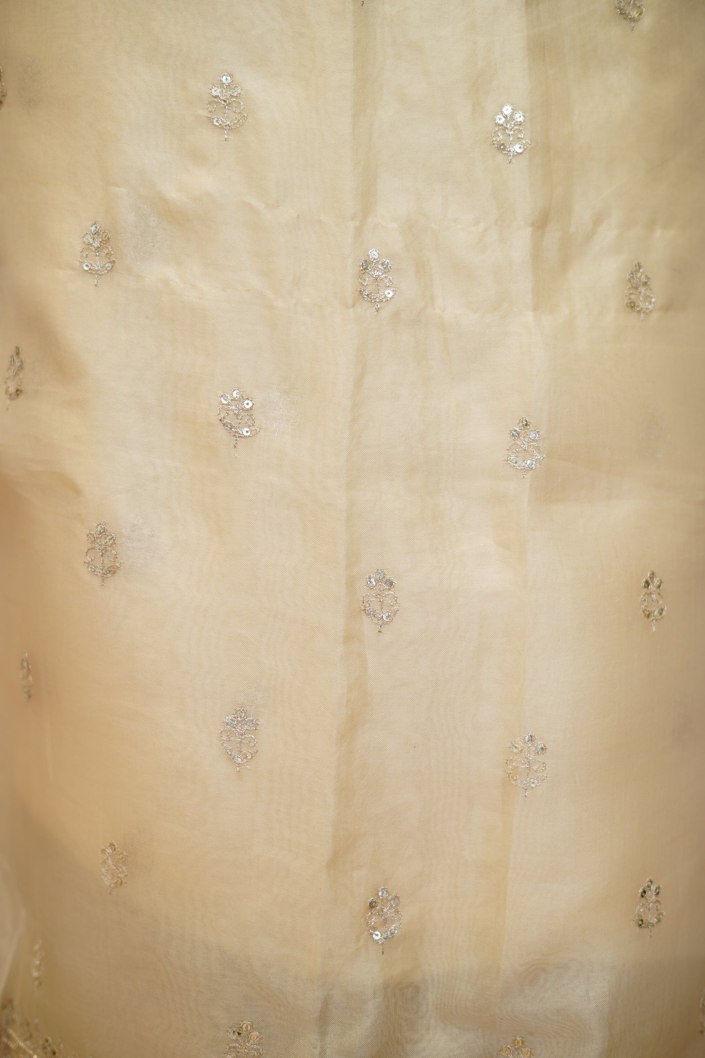 Cream Pure Silk Organza Suit with Zari Embroidery